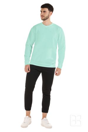 Sudadera Premium Unisex Cuello Redondo Color Menta